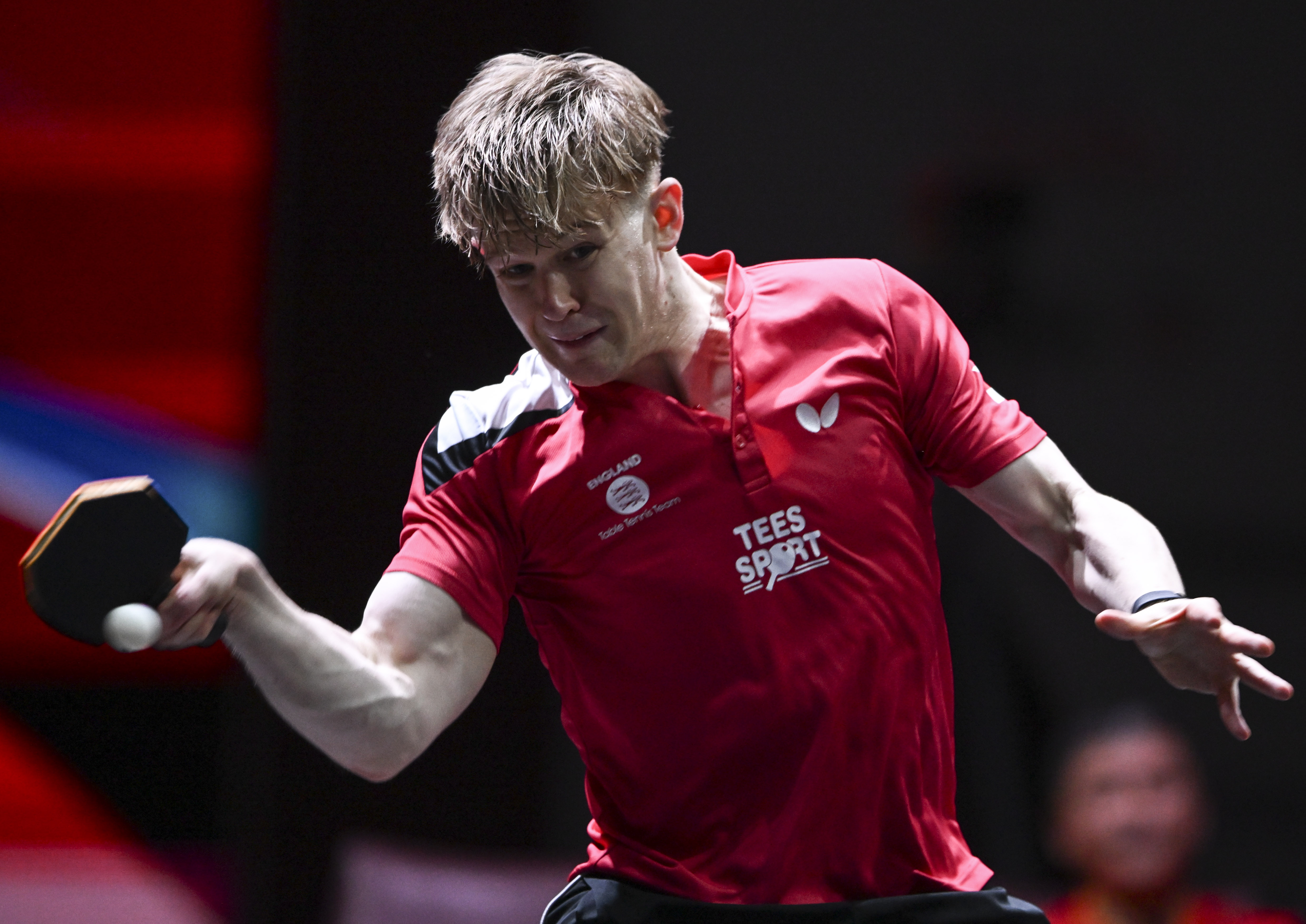 关于奥地利队鏖战葡萄牙队，梁靖崑刷新纪录的信息