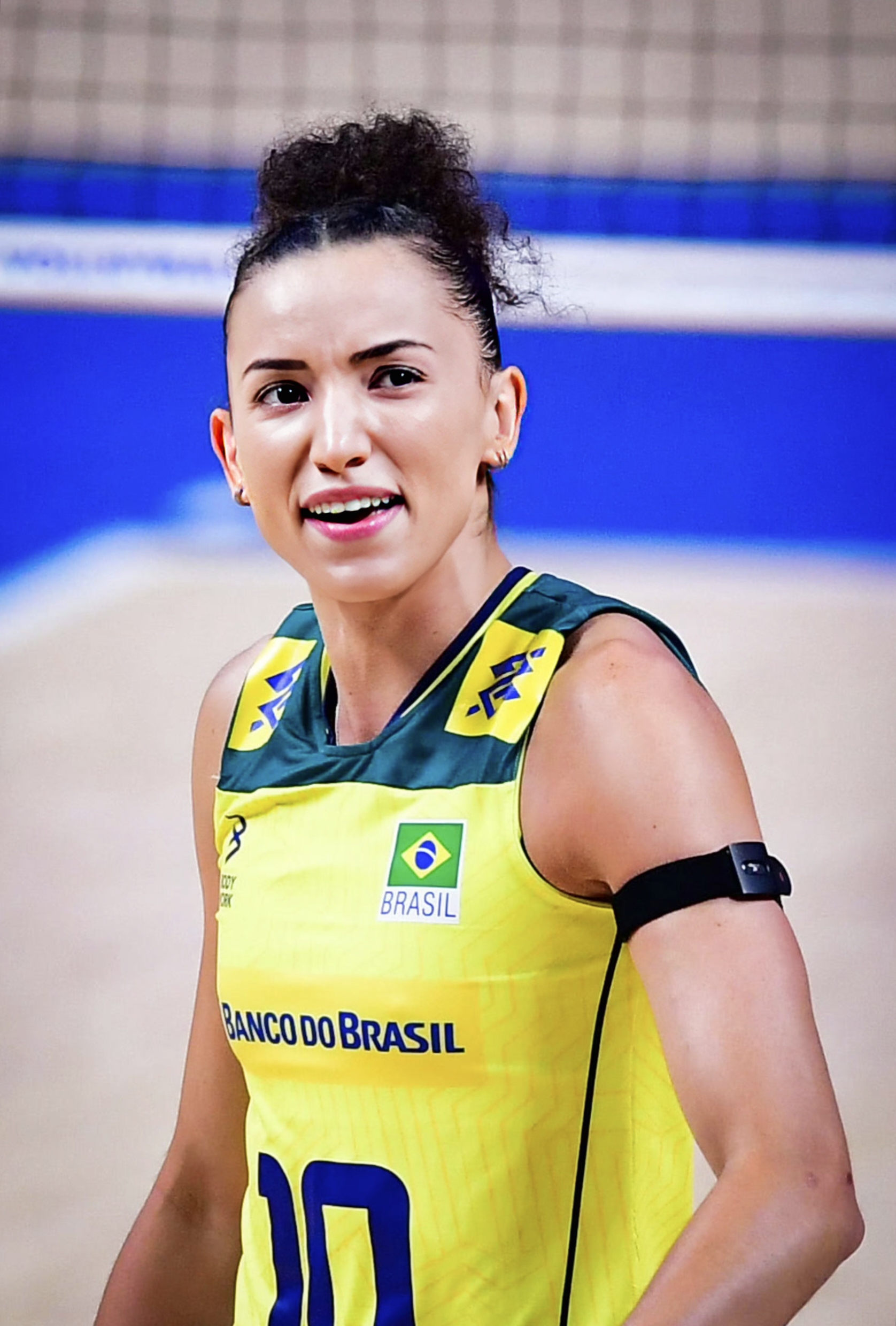 荷兰女子球队夺冠惊艳，球迷热议实力与风采的简单介绍