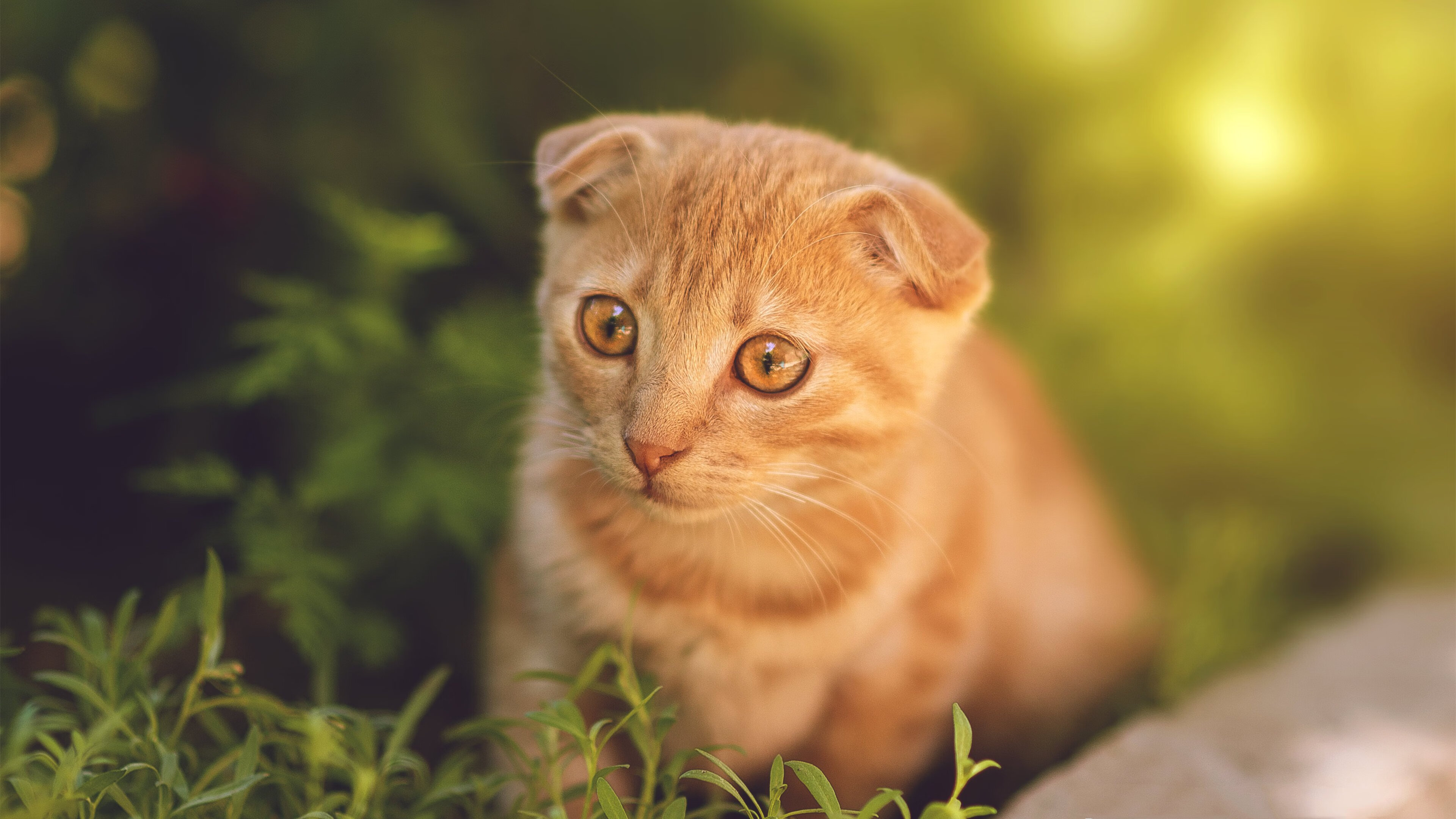 巴尔韦德压力下完成爆发,英格兰逆转多特蒙德,一场定义职业生涯的夜晚