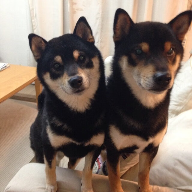 巴尔韦德压力下完成爆发,英格兰逆转多特蒙德,一场定义职业生涯的夜晚