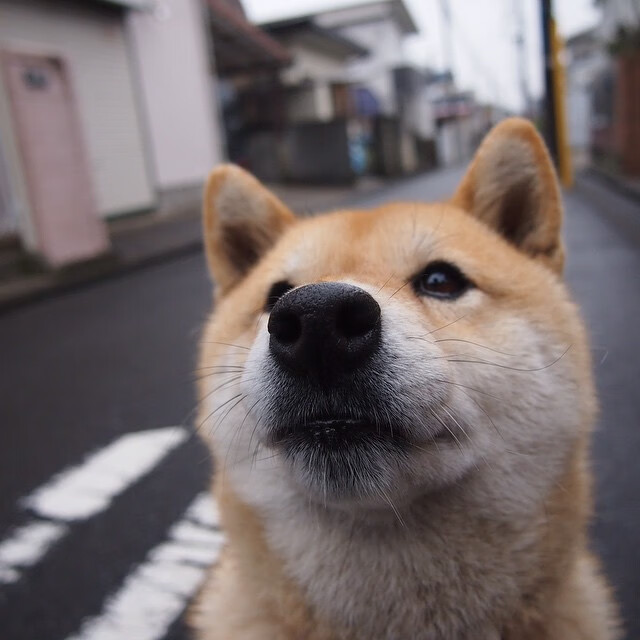 毕尔巴鄂奇迹,玻利维亚爆冷背后的恩佐冠军级表现